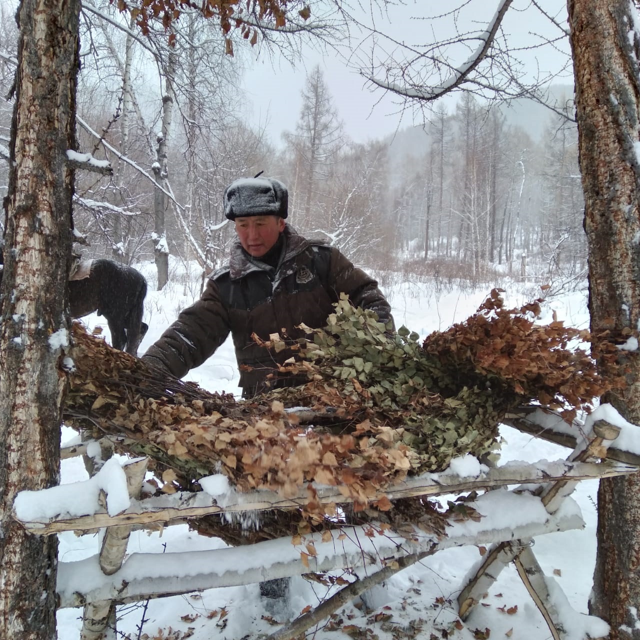 Аң-құстарды қолдан қоректендіреді