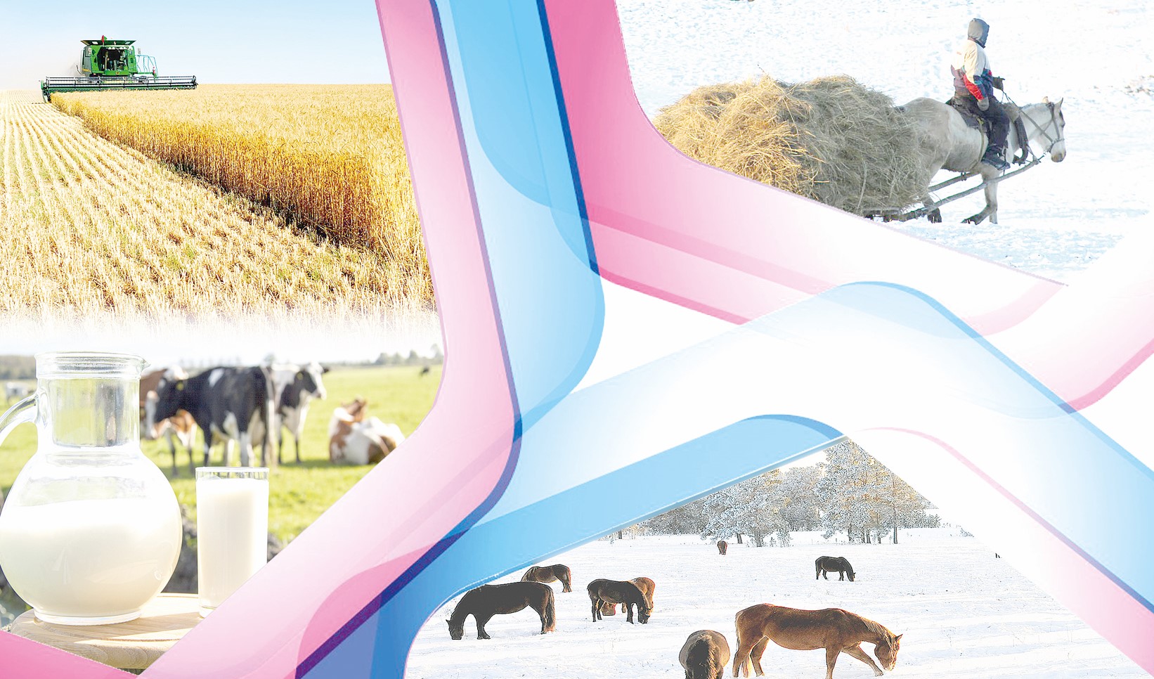 Малдың қамы – жанның қамы