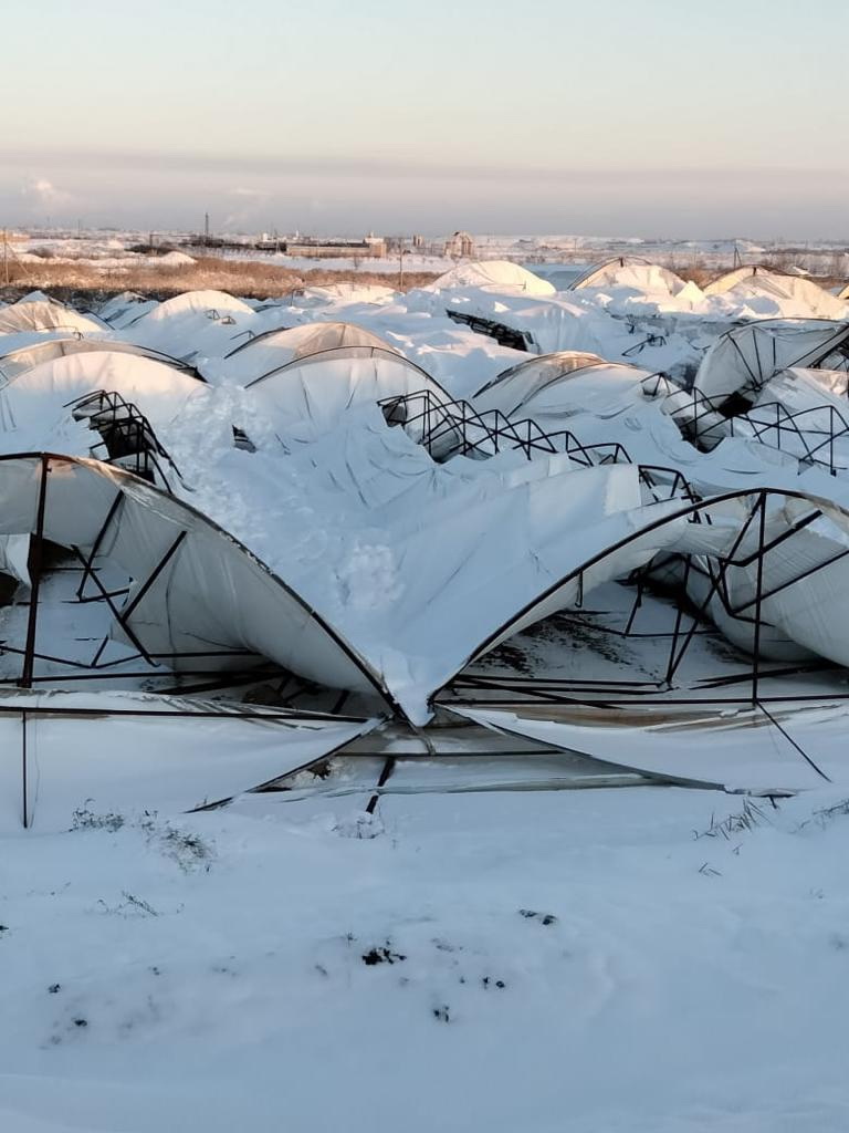 Жылыжайдағы суық жай