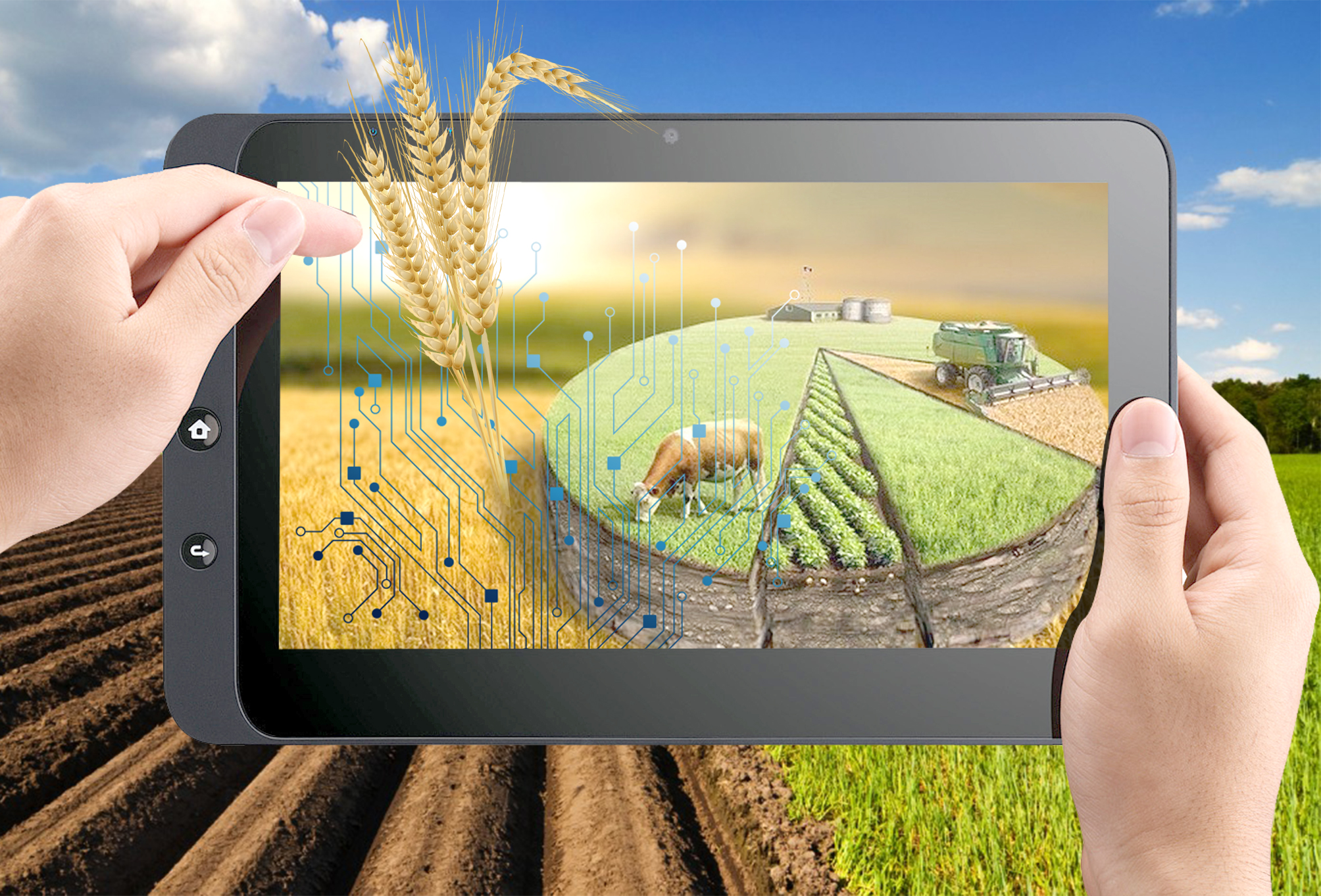 Жерді көктен тексереміз