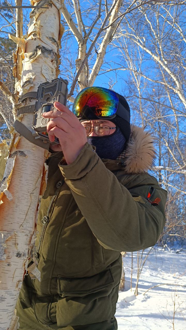 Қаңтардағы қасқыр санағы