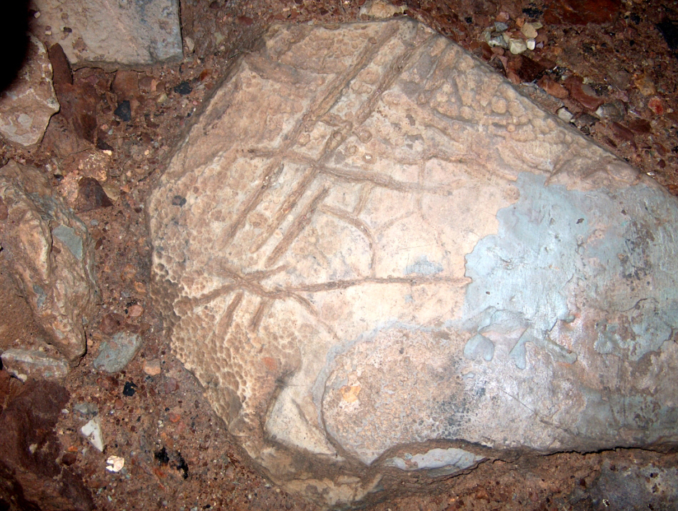 Ботамойнақтағы беймәлім таңба