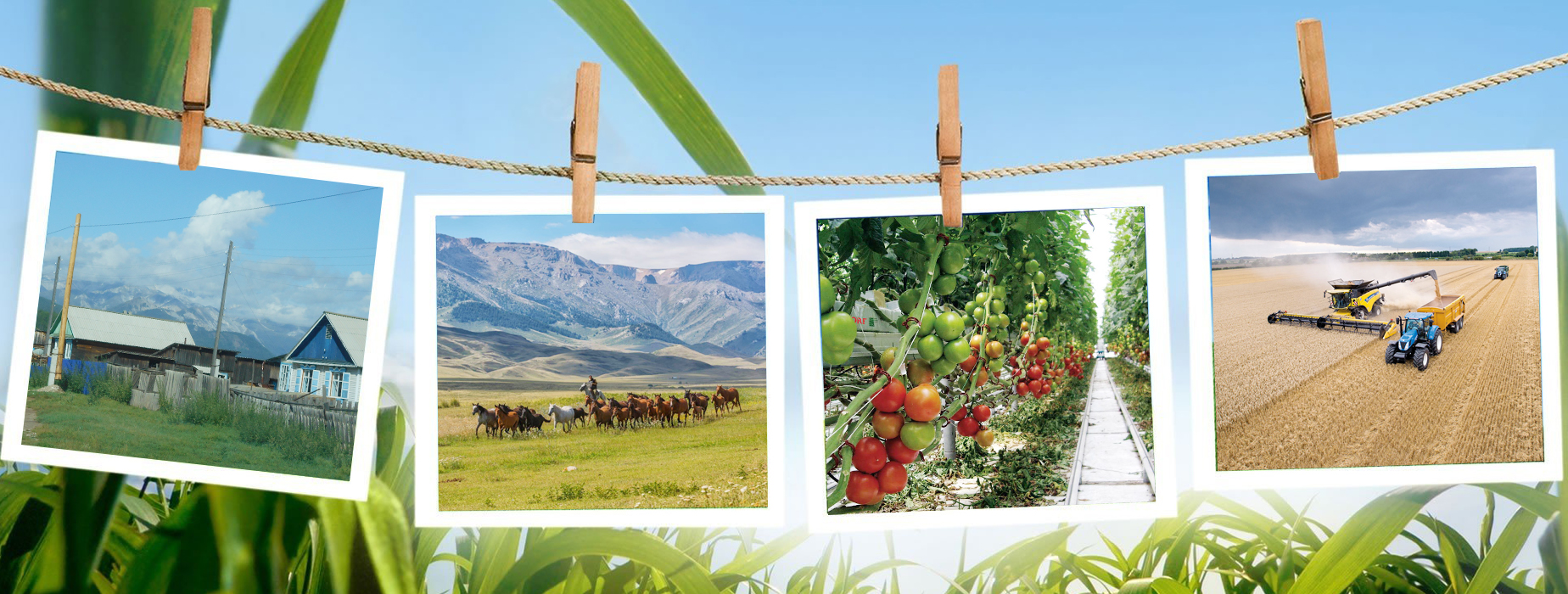 Елдіктің қайнар көзі – ауыл кластерін дамыту