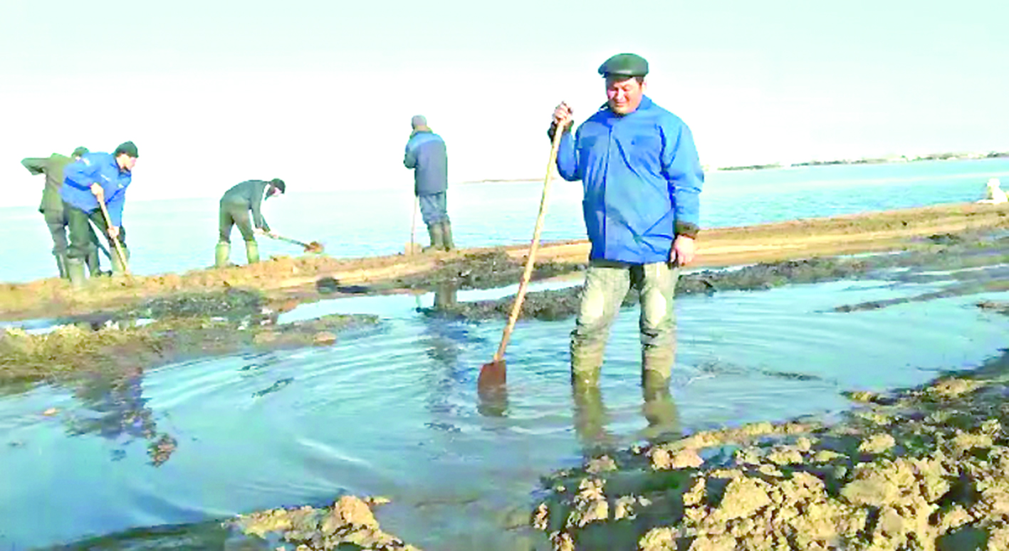 Су басудың қауіп-қатері