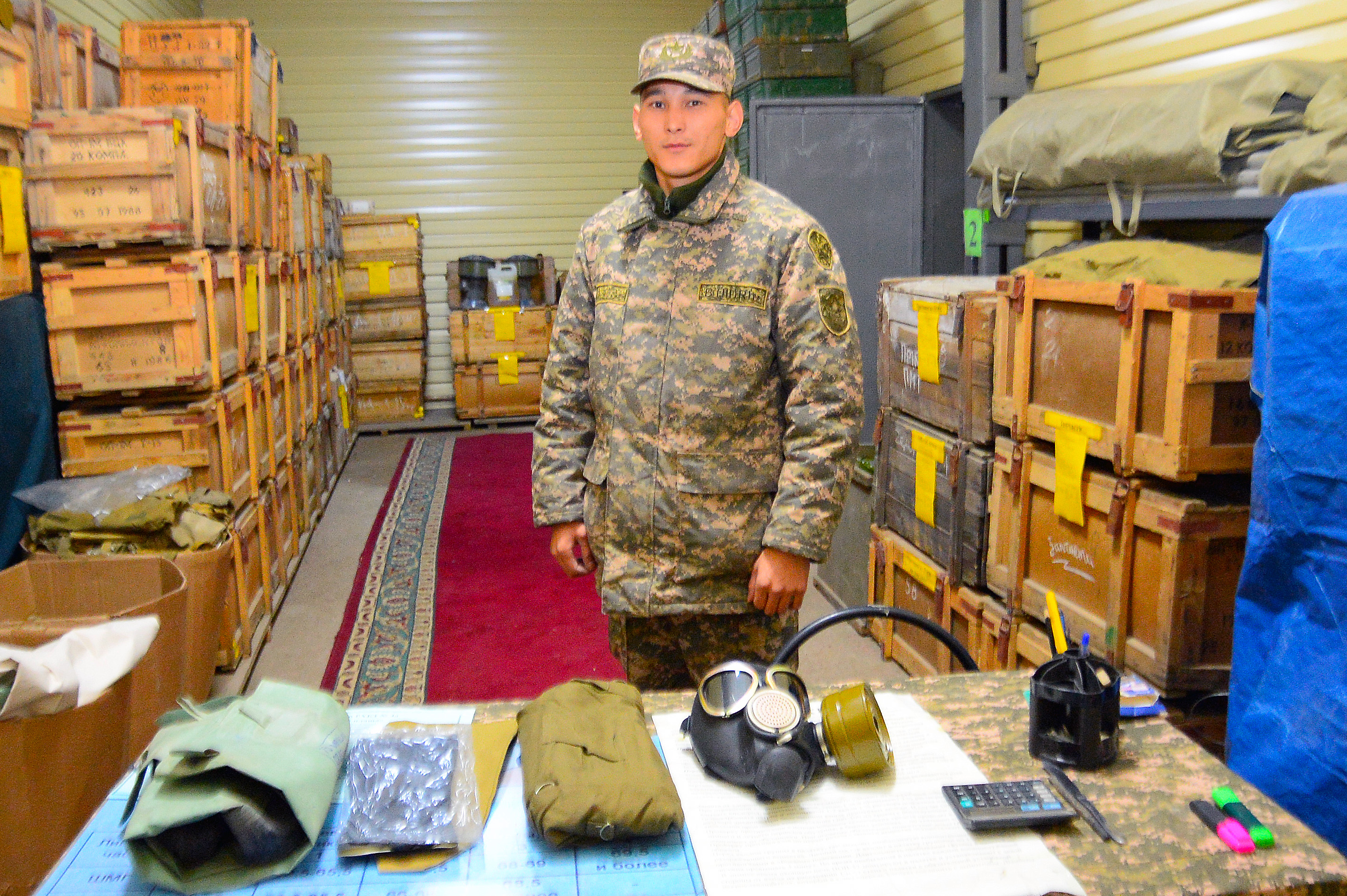 Бірлігі бекем бөлім