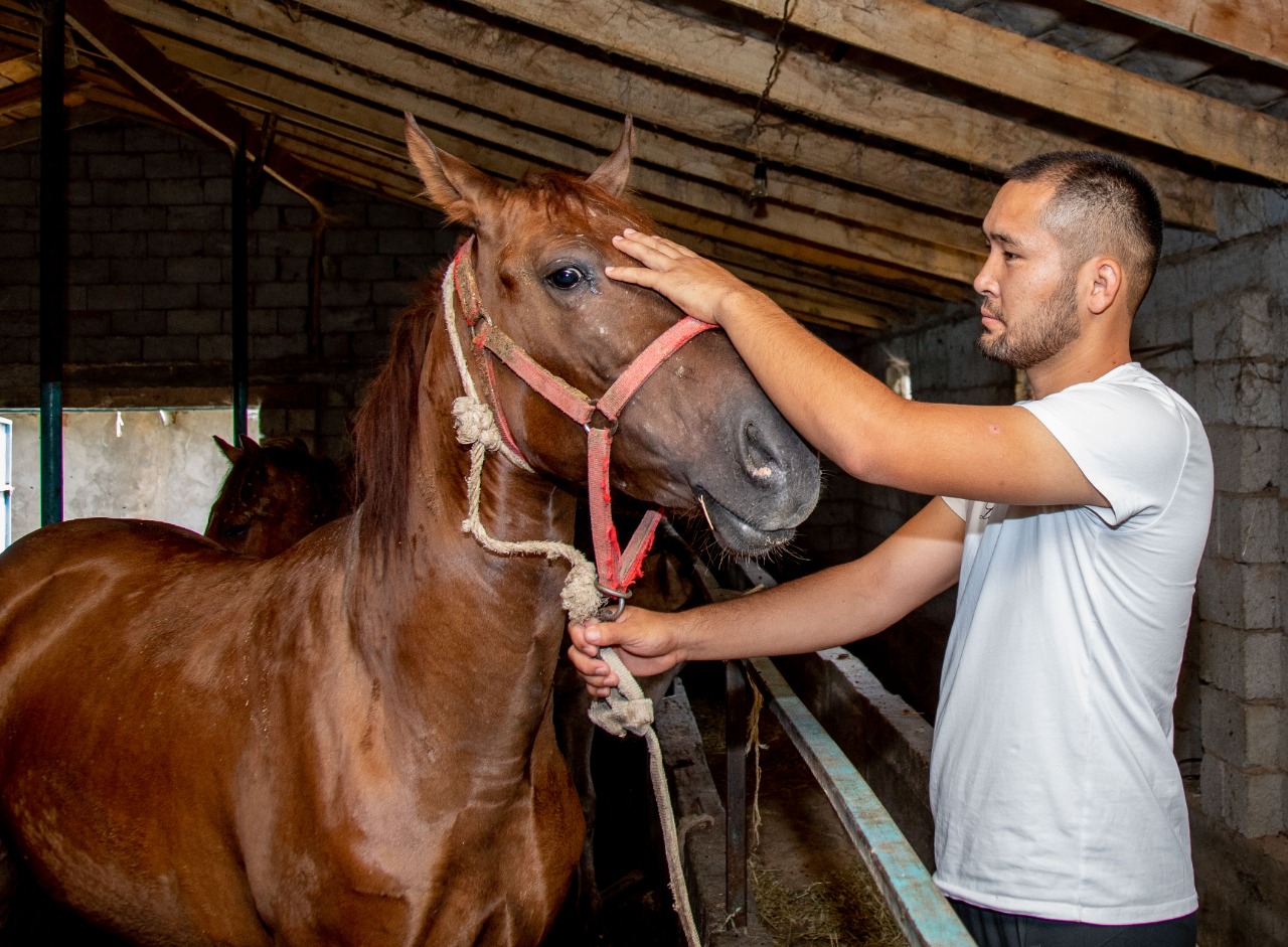 Несібені арттыратын несие