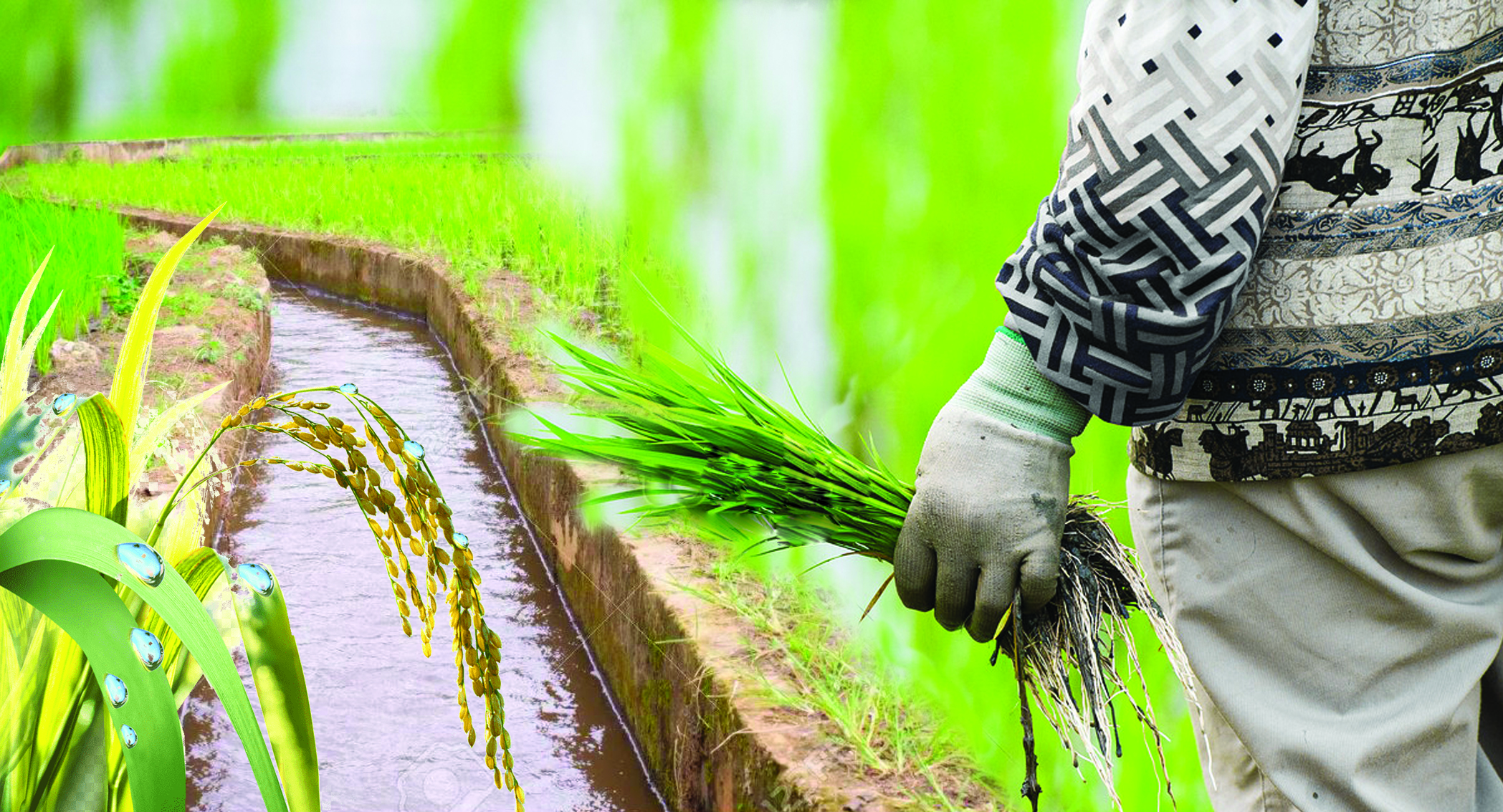 Әртараптандыруды әріден бастау керек