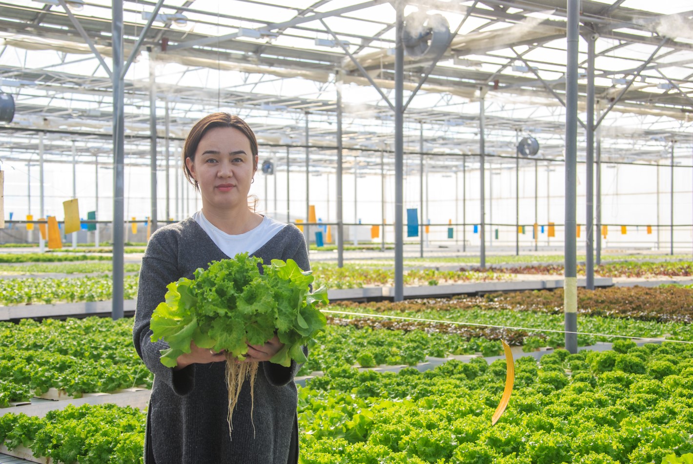 «Jetisy green»: Көк шөптен де көп пайда бар