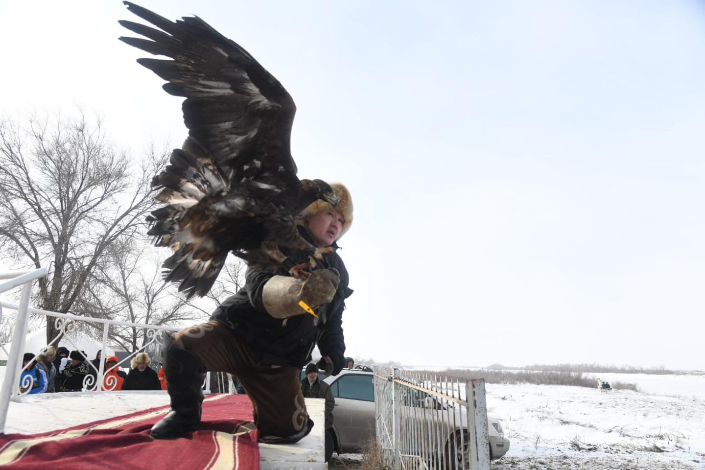 Қансонарда бүркітші шығады аңға...