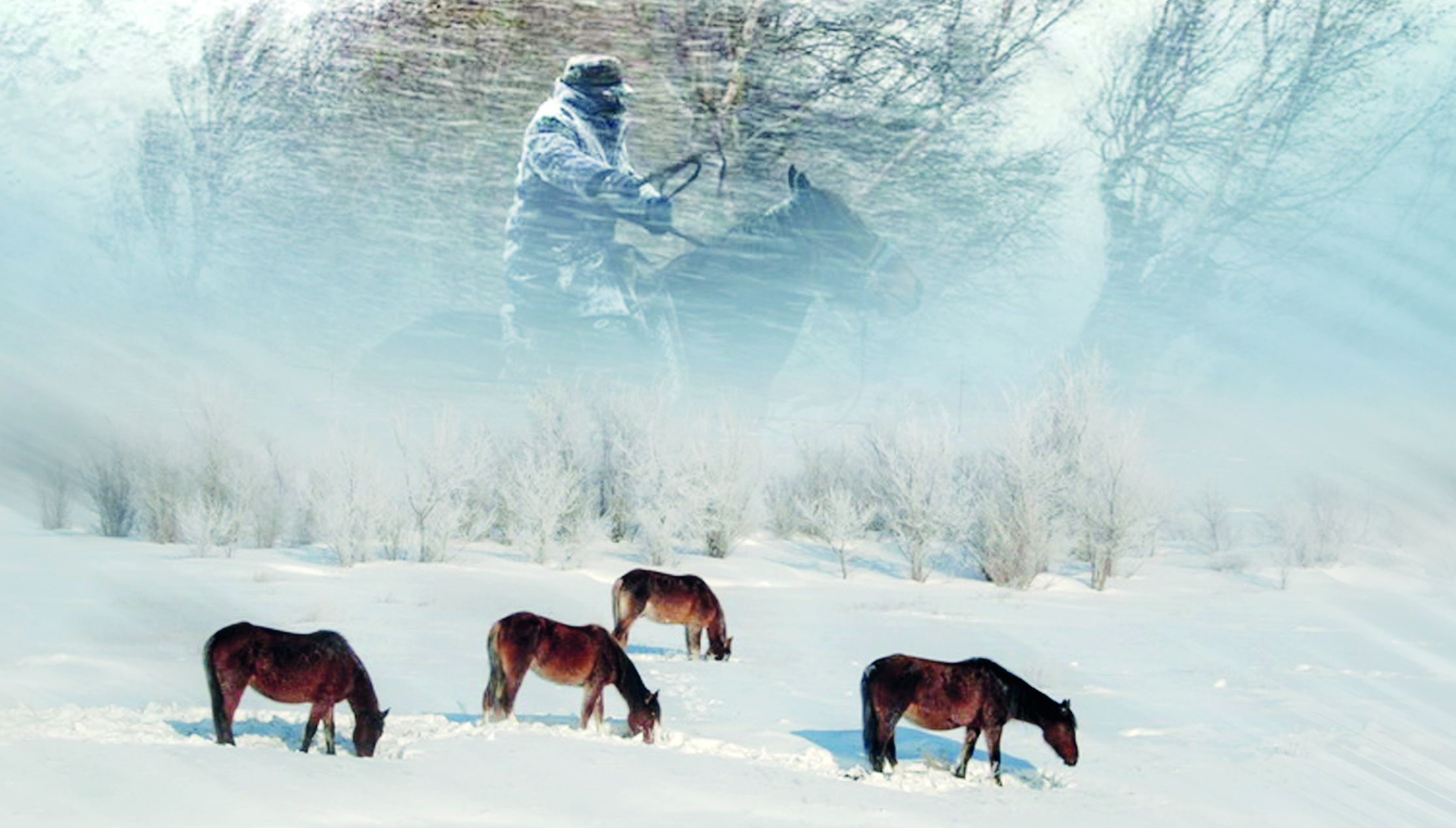 Жайылымы болмаса, мал азады