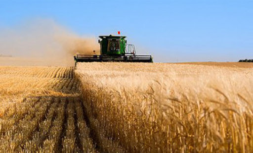 Егіс алқабы ұлғаяды