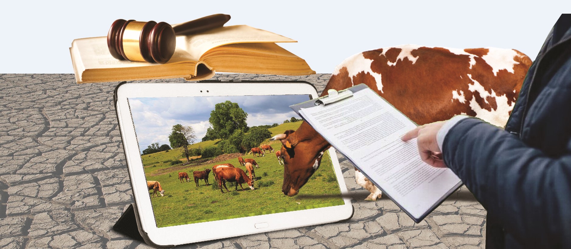 «Қолжетімсіз жайылым...» Әкімдер статистиканың бұрмалануына мүдделі ме?