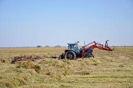 Шаруаның қолын байлаған «шикілік»