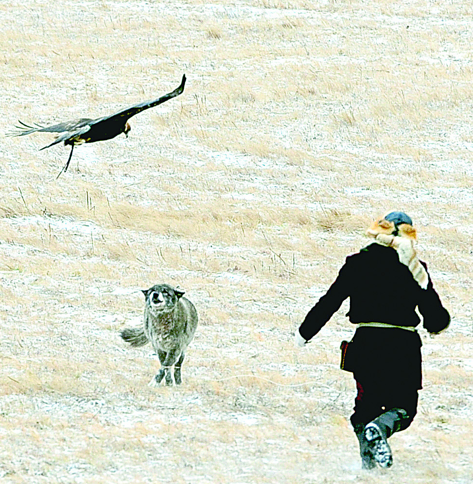 Қырағы құсбегілер