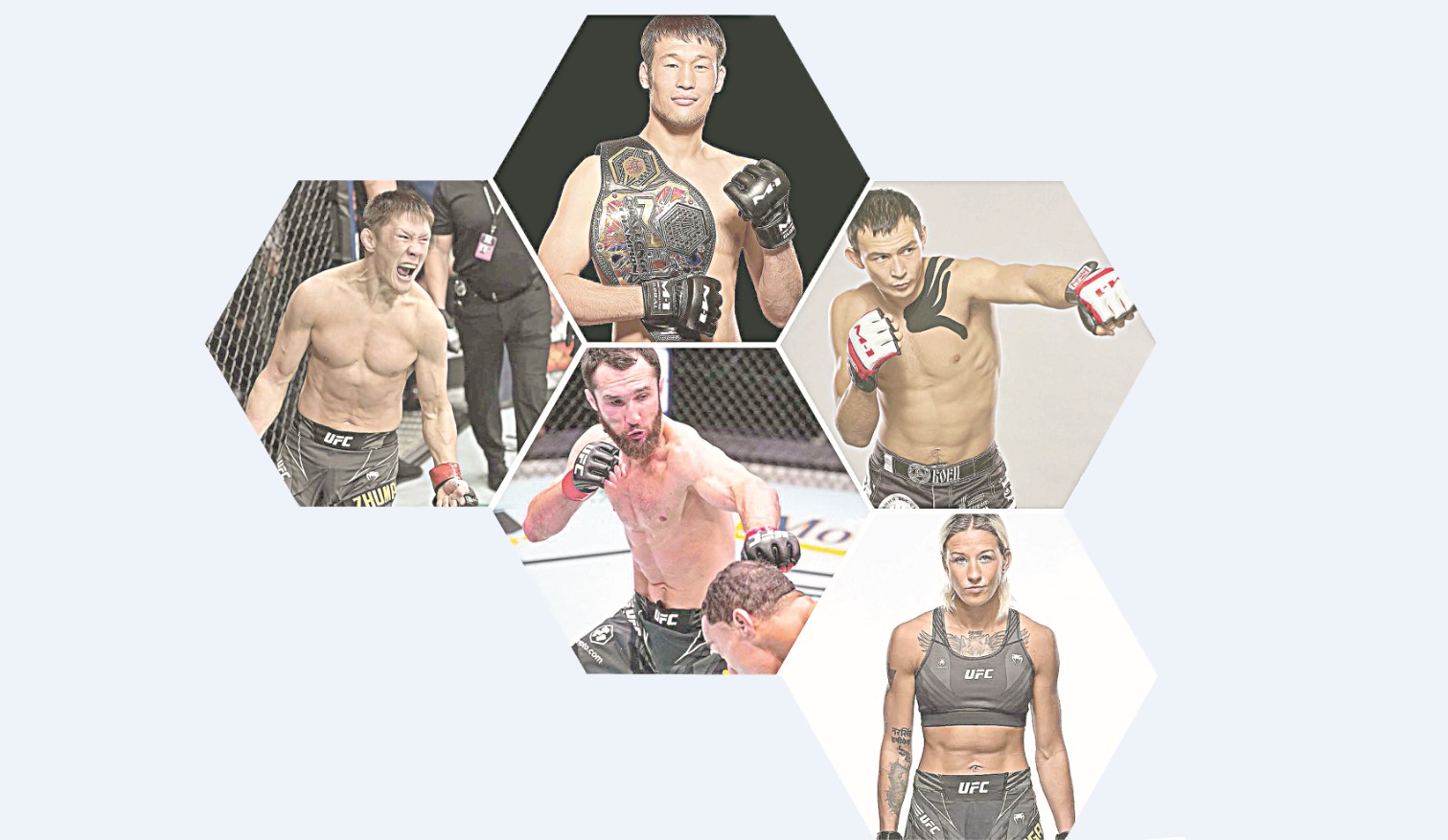 Саңлақтардың көздегені – UFC