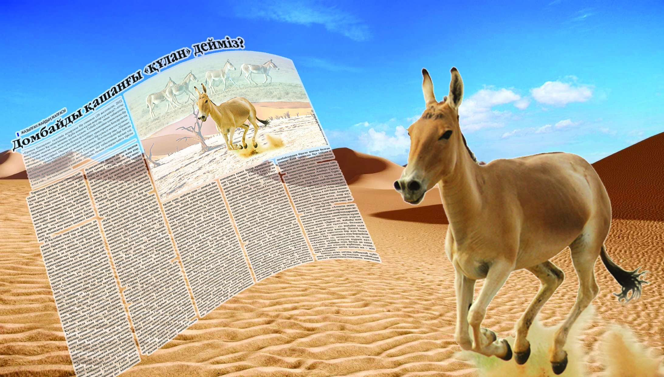 Құлан деп жүргеніміз домбай емес