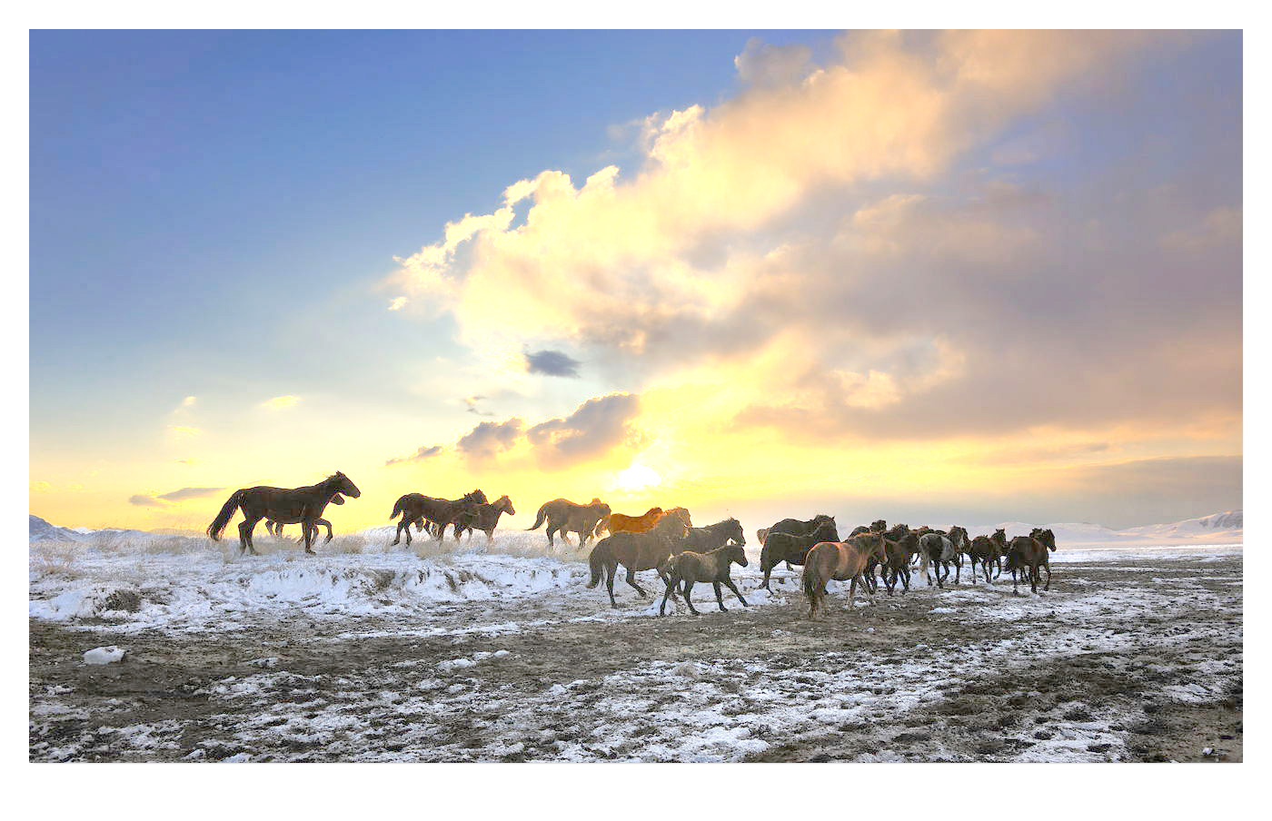 Тұз сасыса, не себеміз? Ауылдар маңындағы экожүйе бұзылып жатыр