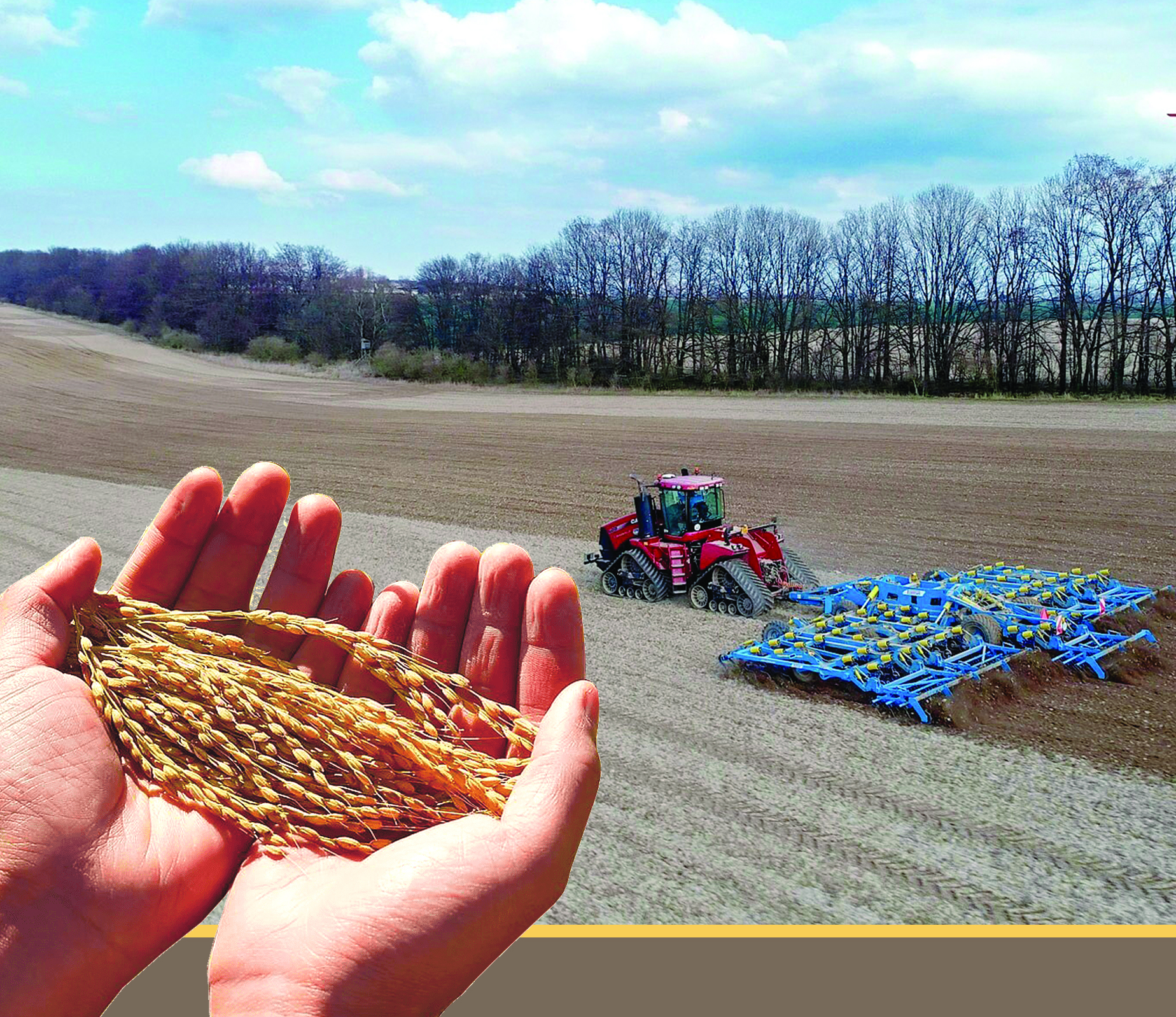 Не ексең, соны орасың