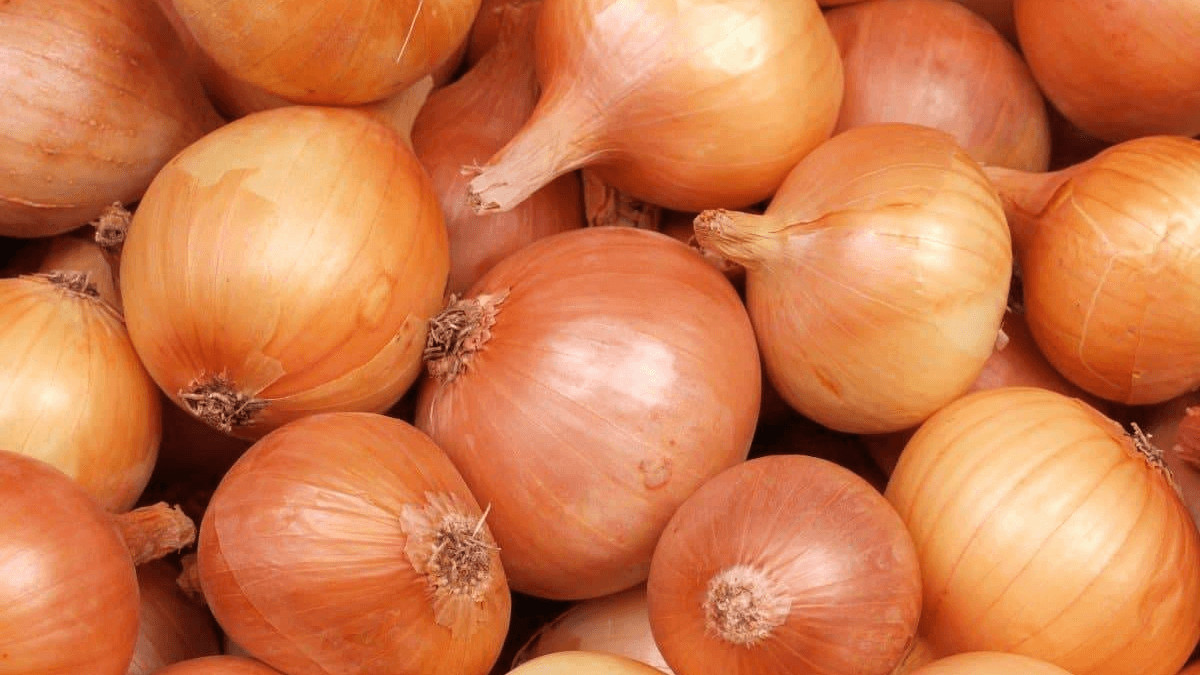 Фермерлер: экспортқа шектеу жойылсын