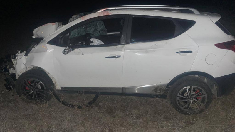 Жетісу облысында жол талғамайтын көлік жылқыларға соғылды