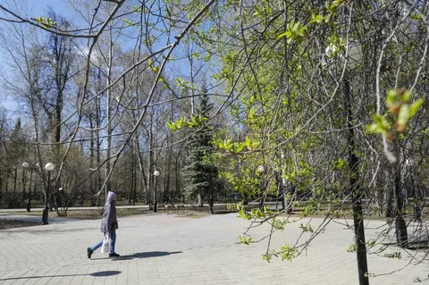 Алдағы үш күнге арналған ауа райы болжамы