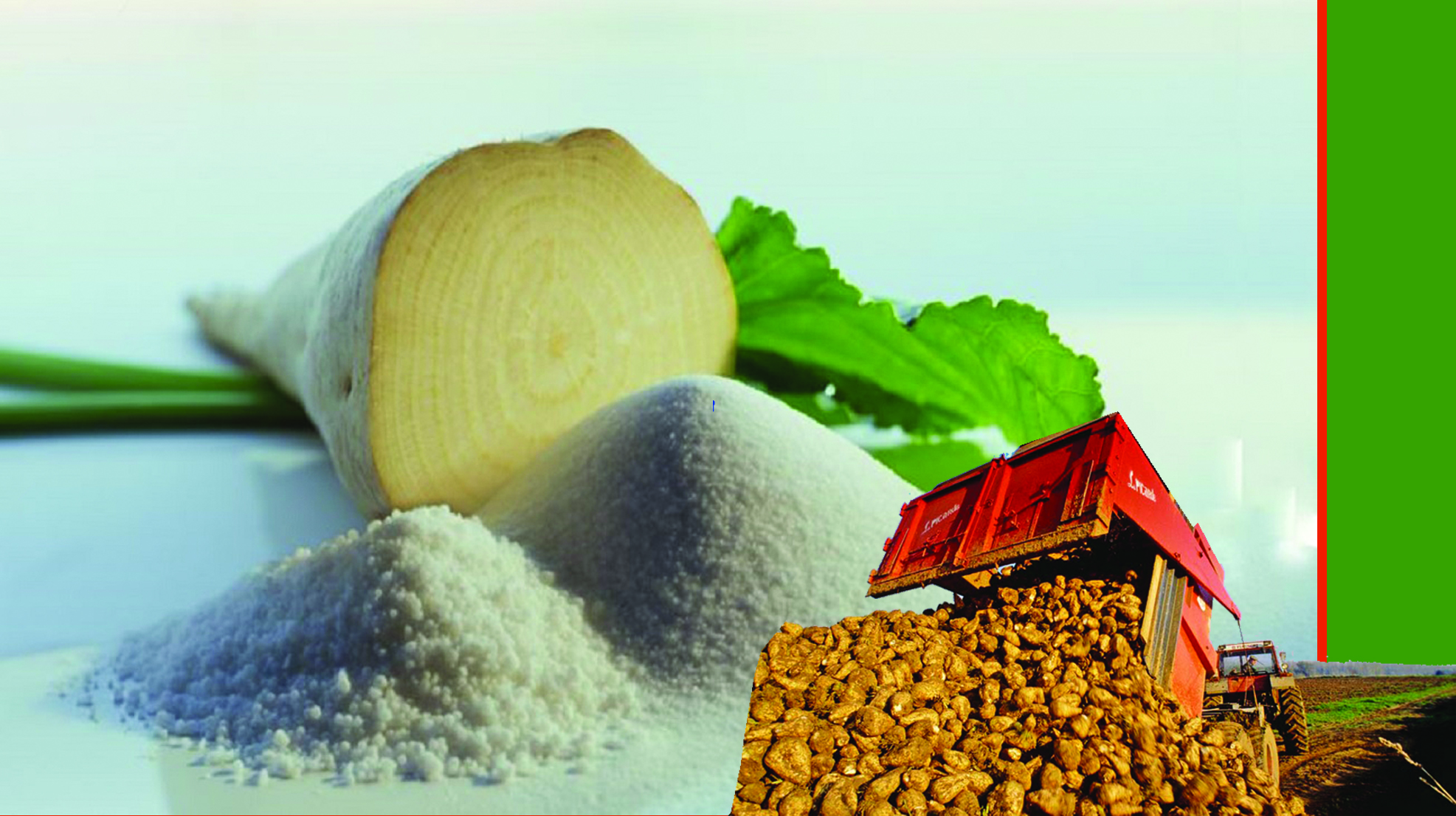 Қант зауыттарына – 18,3 млрд теңге