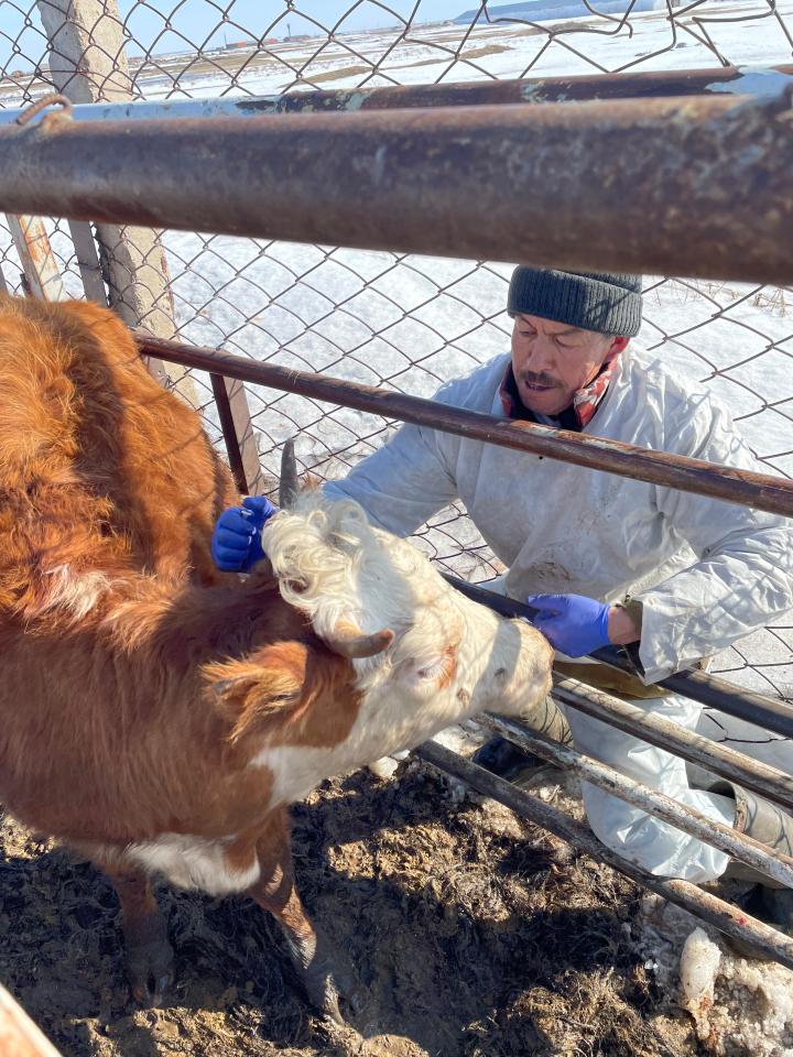 Биологиялық қауіпсіздік – елдің қауіпсіздігі