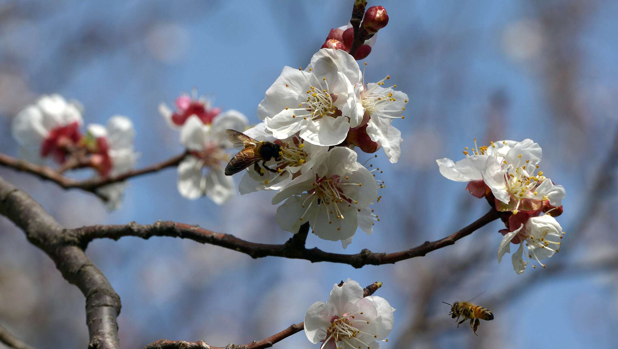 5 сәуірге арналған ауа райы болжамы