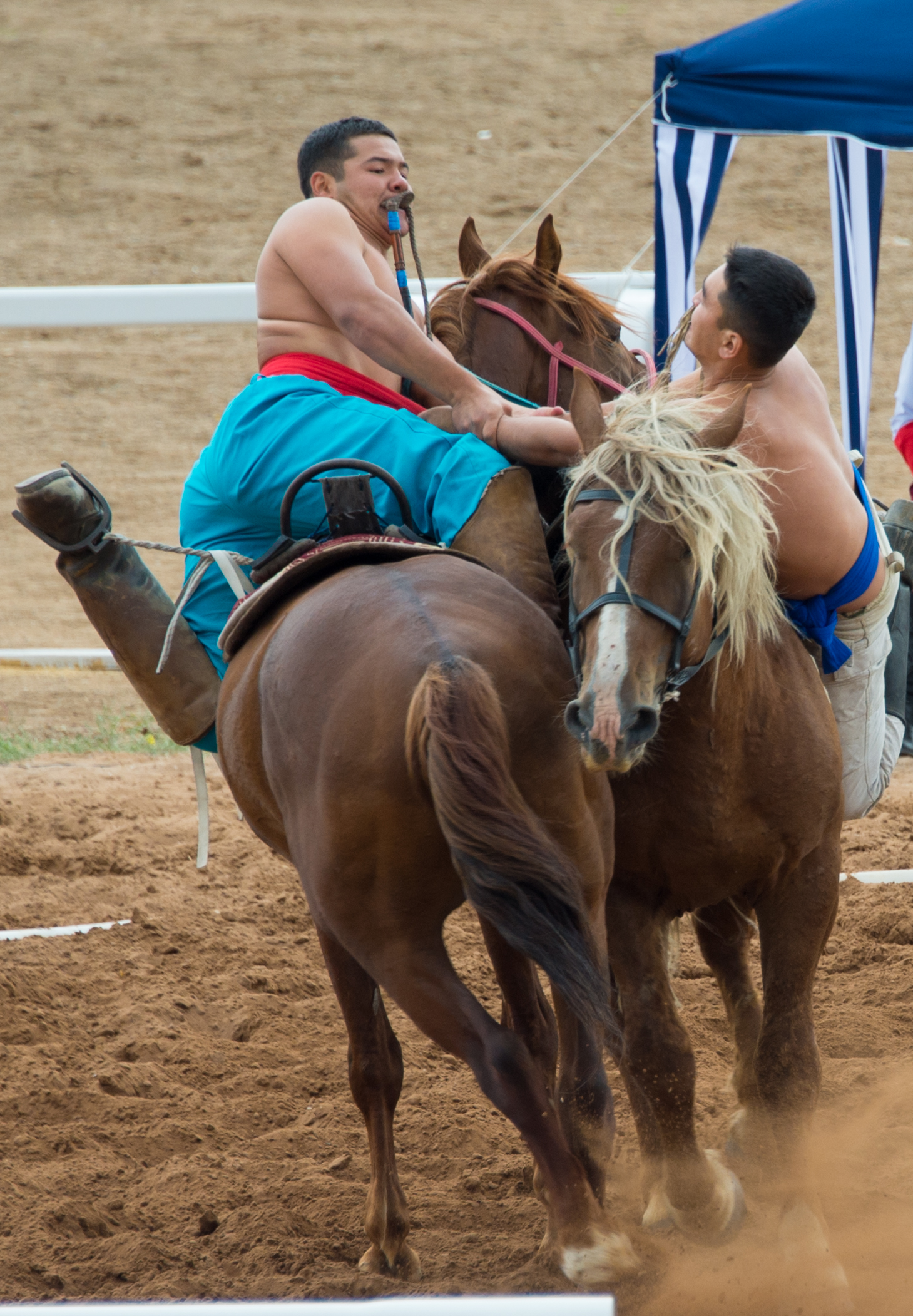 Жылқының жалында өскен жұрт едік