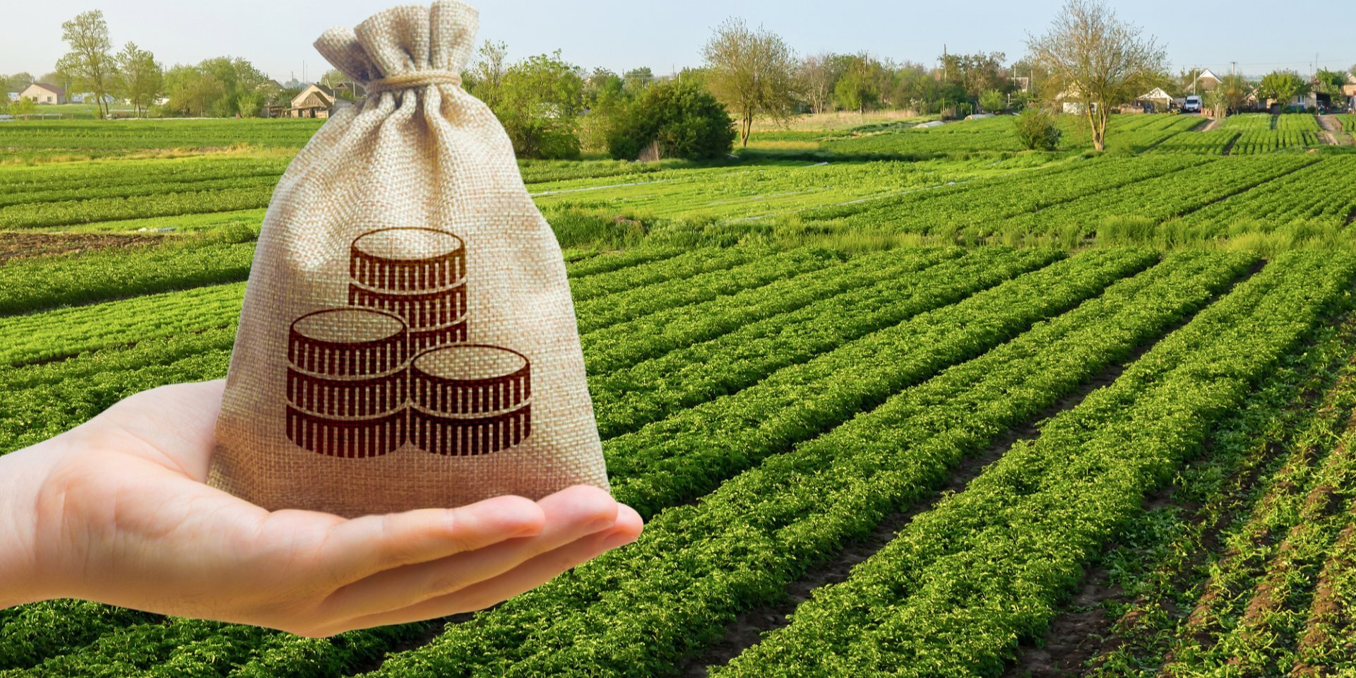 Салықтың салмағы