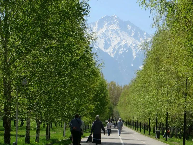 Алматының жасыл желегі биологиялық түрде өңделеді