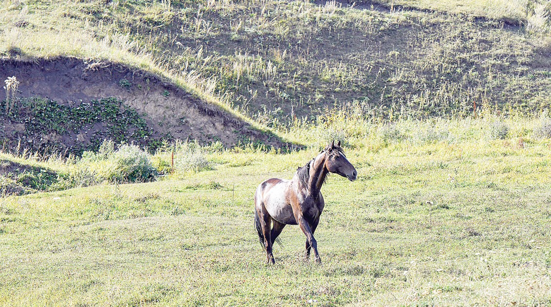 Құлагер шыңы