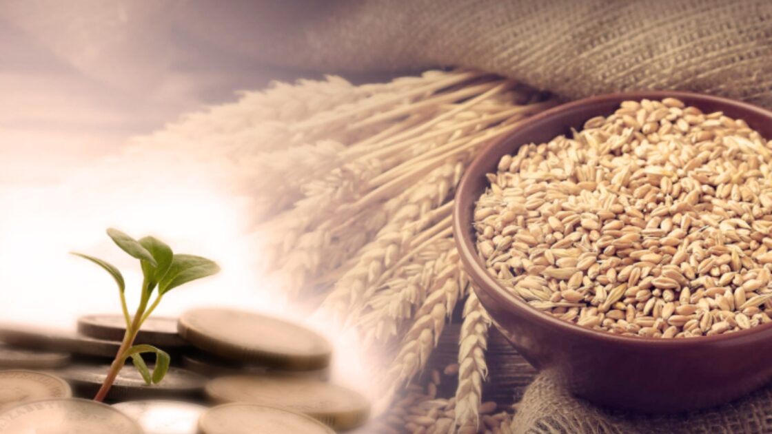 Пітір садақаны қай уақытқа дейін беру қажет?