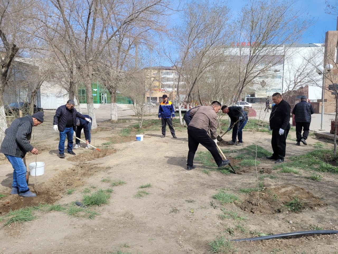 Ағаш егуде мін болмайды. Өсіп-өнуін кім ойлайды?