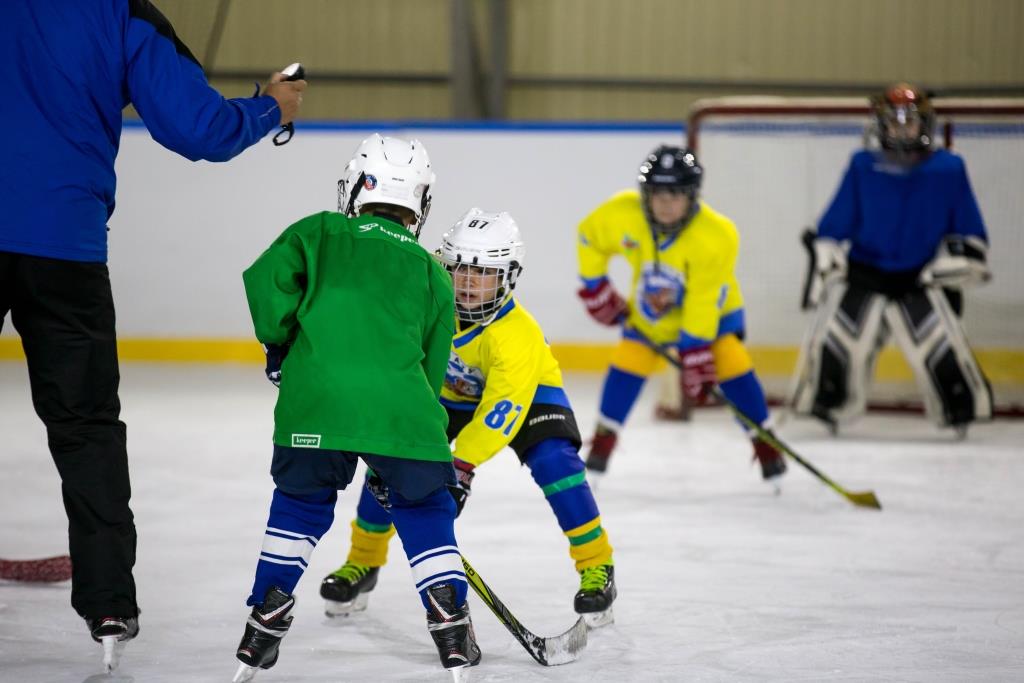 Алматыда балаларды тегін секцияларға қабылдау қашан басталады?
