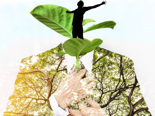 Елімізде адами капиталды дамытудың ұлттық бағдарламасын әзірлеу ұсынылды