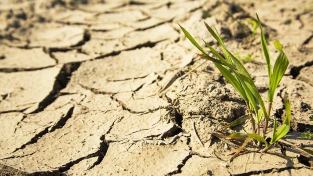 Мамыр айында кейбір өңірлерде құрғақшылық болуы мүмкін