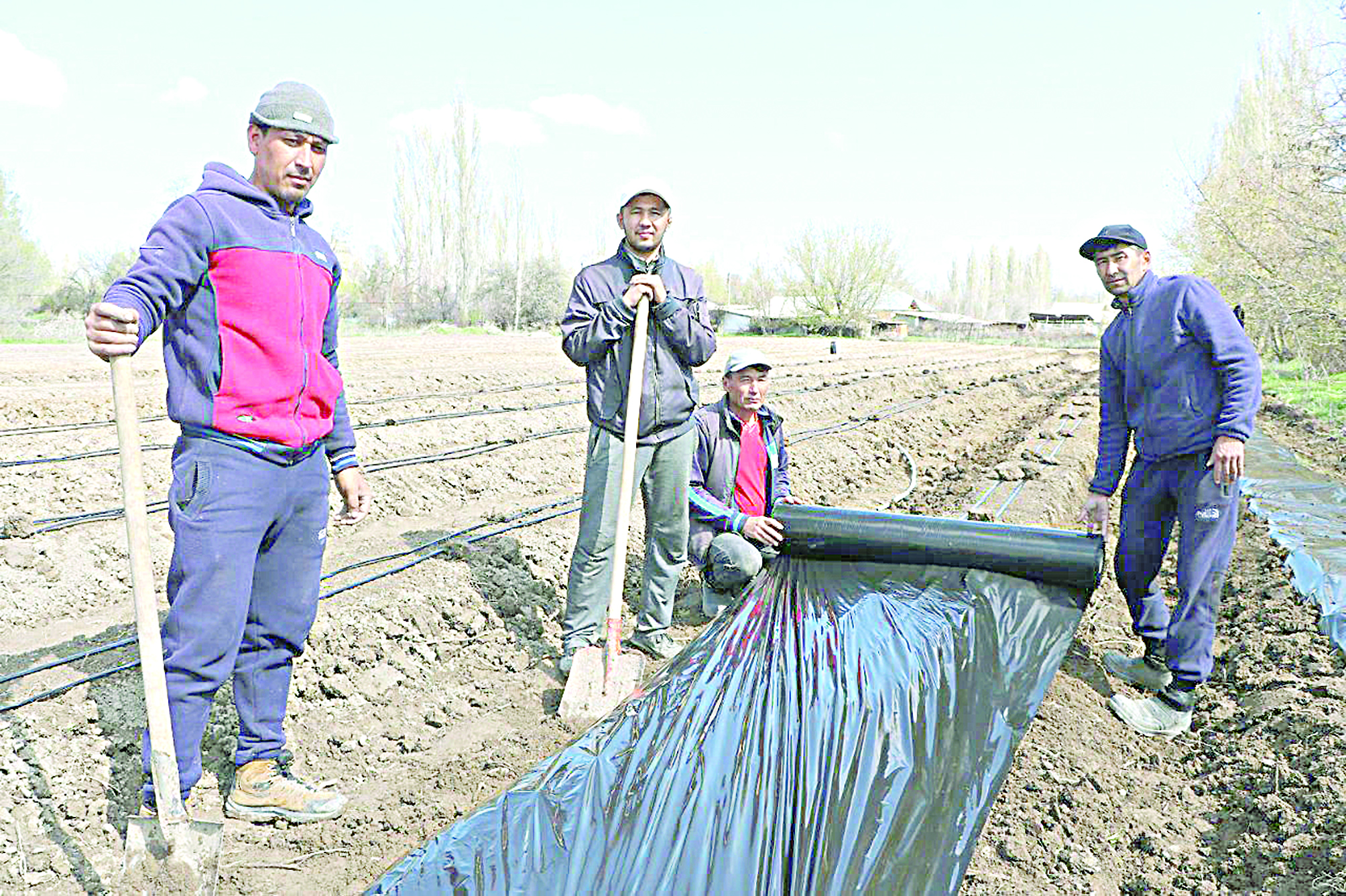 Құлпынай егемін деп құлшынып отыр