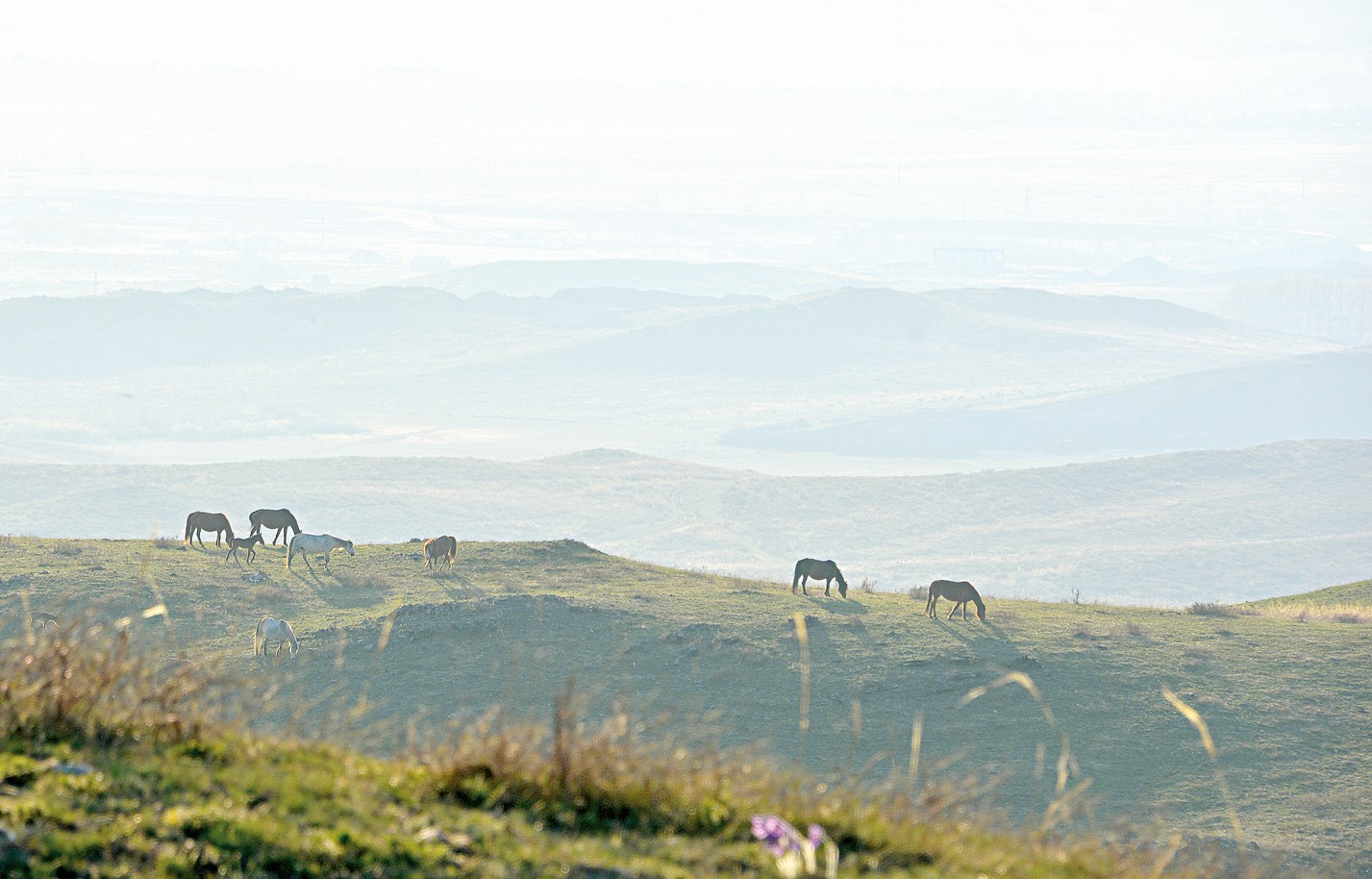 Жердің шын иесі – шаруа