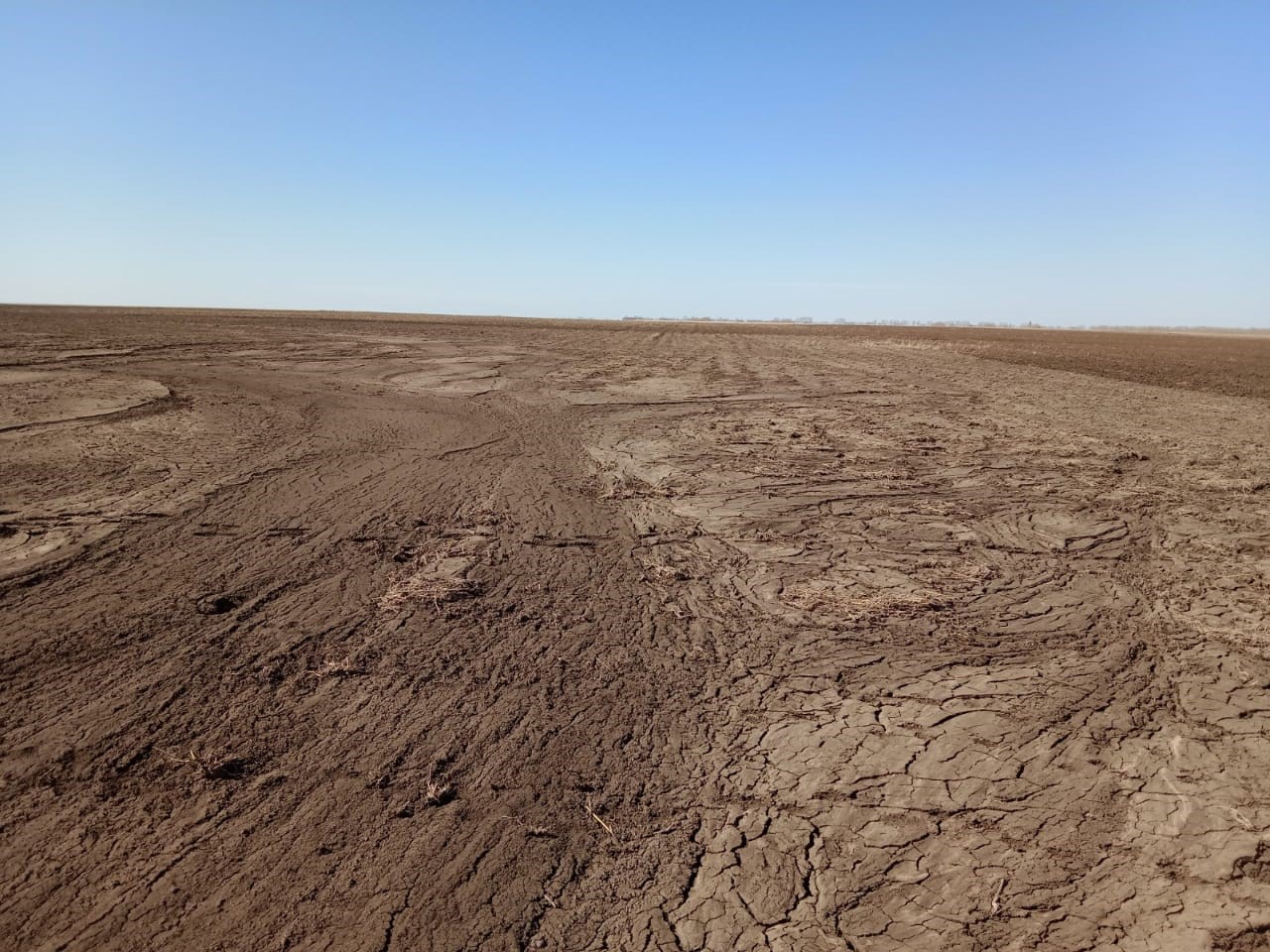 Ауыспалы егіс  – жерді аздырмаудың жақсы амалы