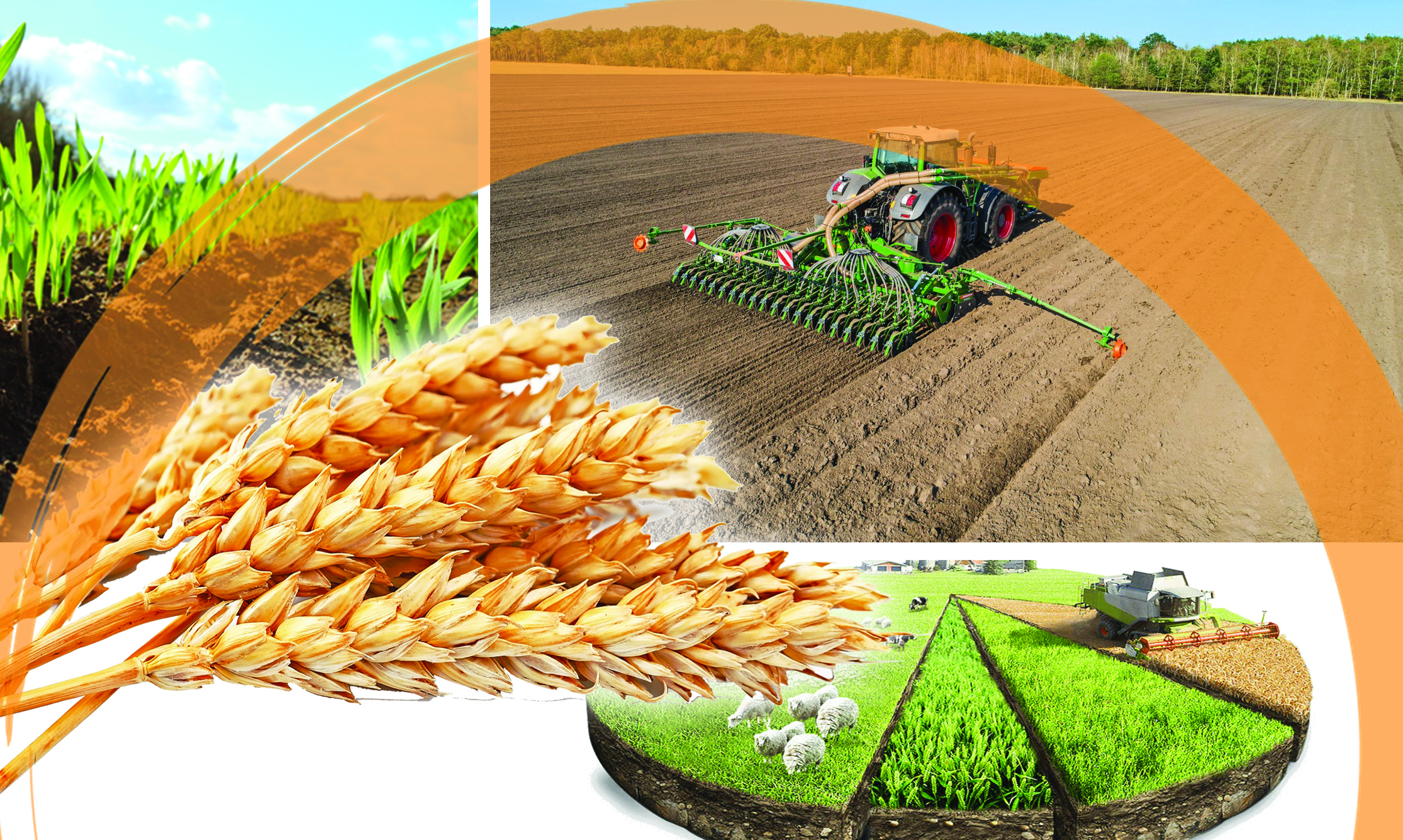 Көктемгі егіс қарсаңындағы кикілжің