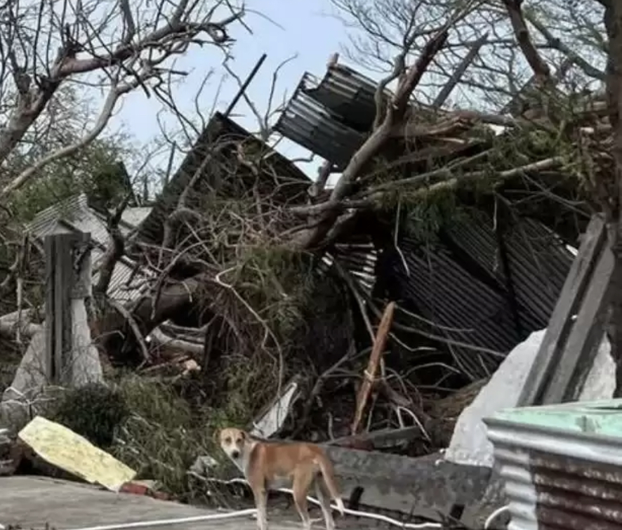 «Мокко» циклоны: Мьянмада 6 адам қаза тапты