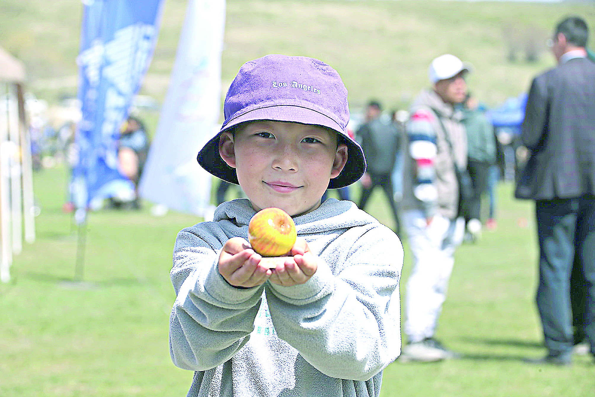 Сиверс гүлдегенде...