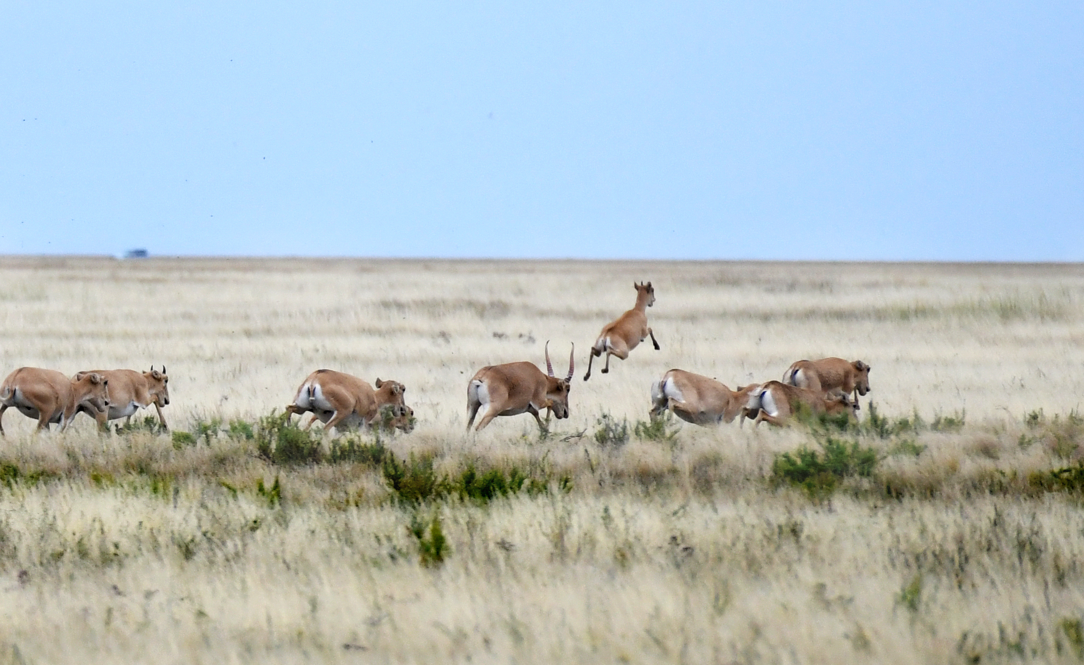 Ор қазу опық жегізеді