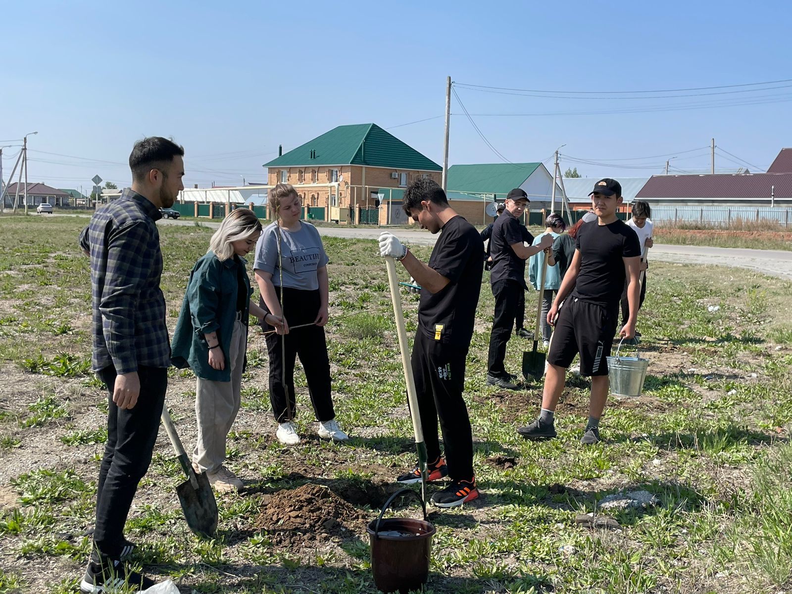 Шаңырақ шыбығы