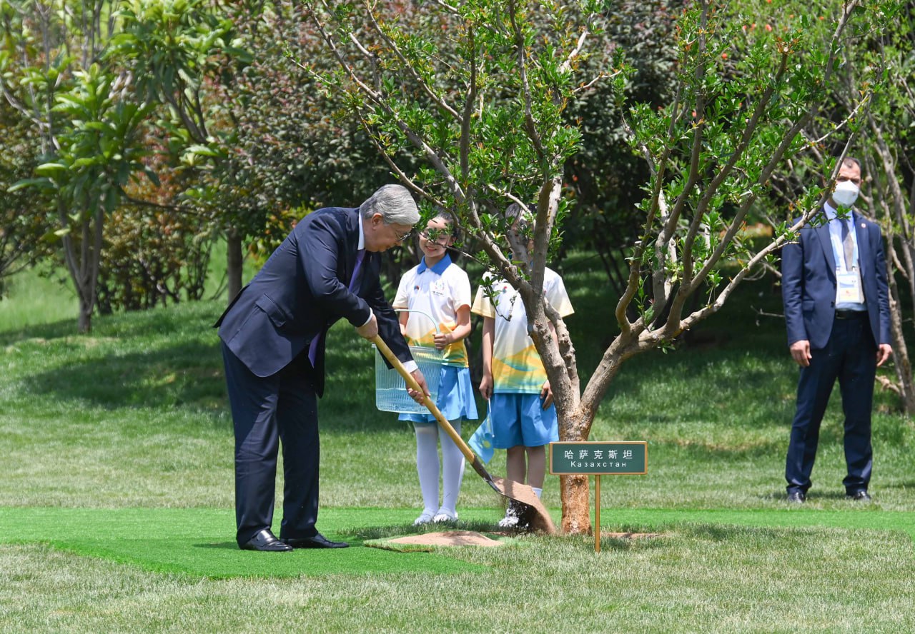 Мемлекет басшысы ағаш отырғызу рәсіміне қатысты