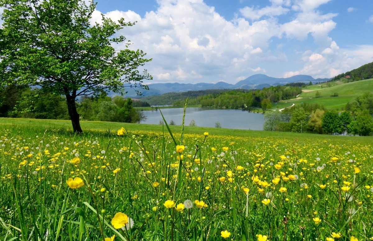 Демалыс күндеріне арналған ауа райы болжамы