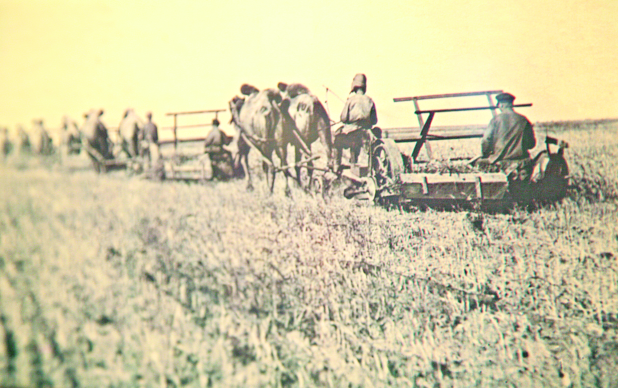 Ұмытылмас қасірет