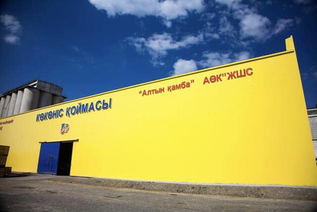 Шіріген өнім,  шарасыз басшы