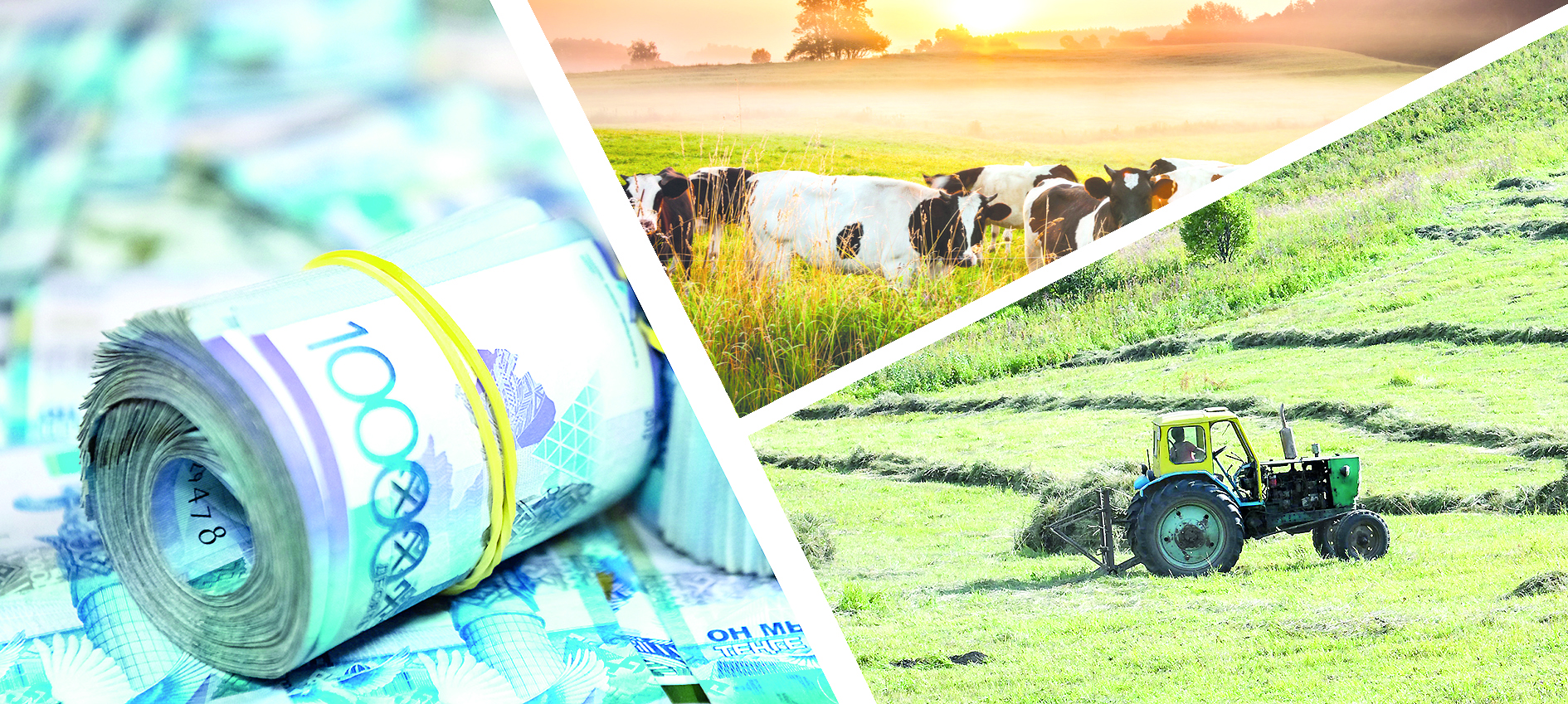 Фермерлерге – 7,5 млрд теңге